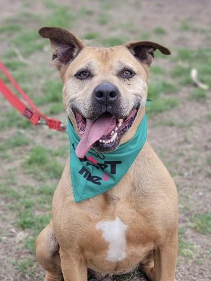 Naco — thumbnail 3