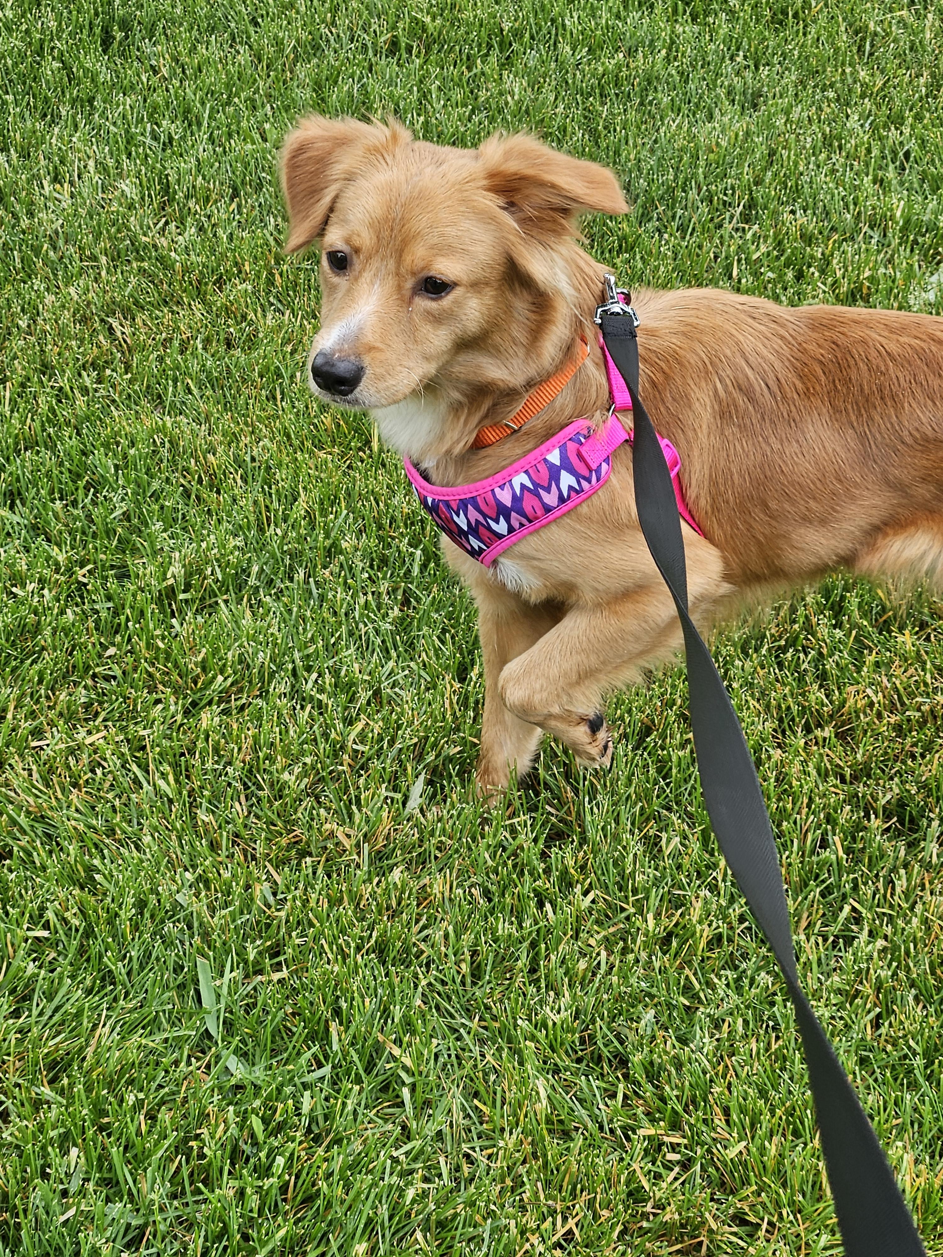 Lucy