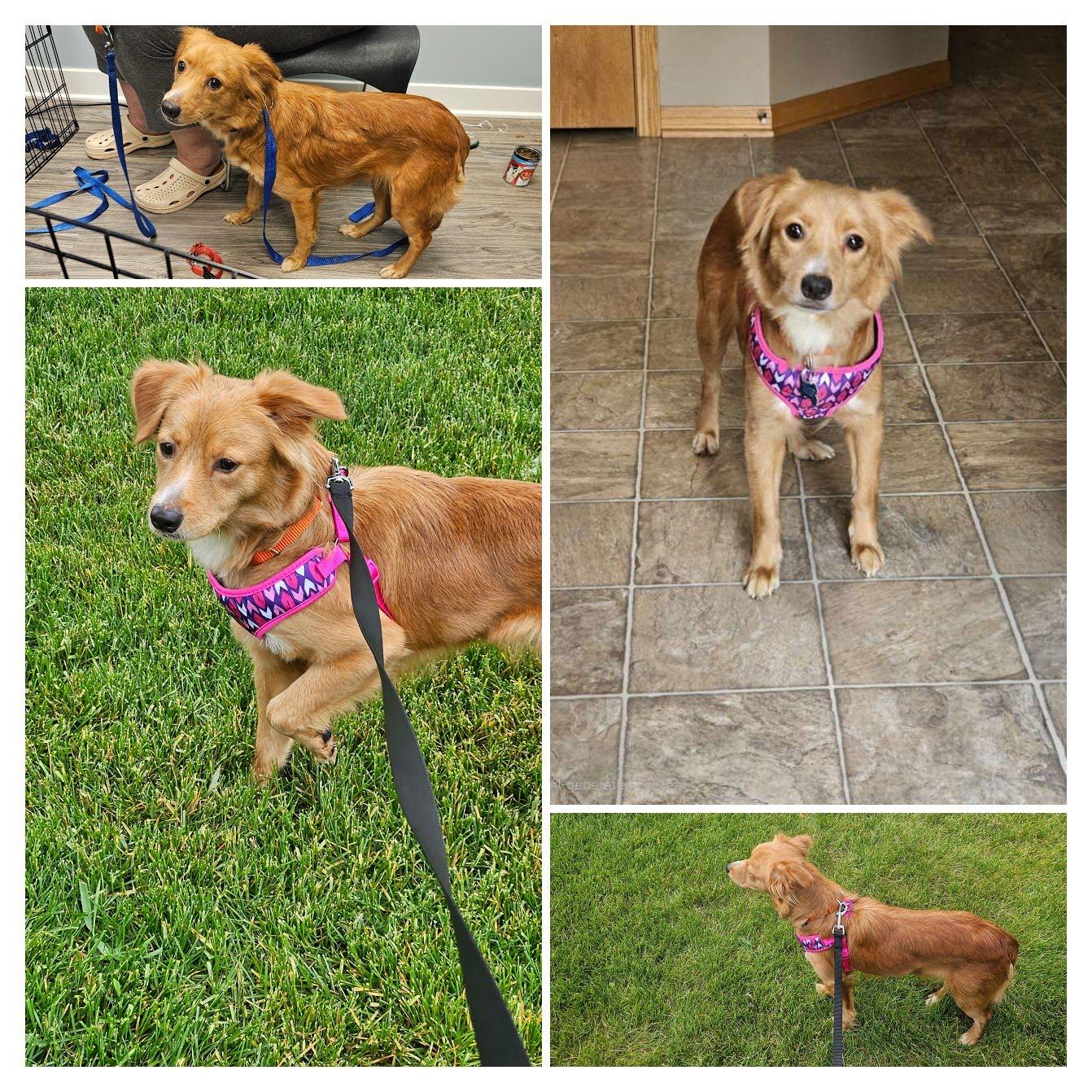 Lucy