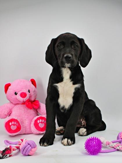 Isabelle — thumbnail 2