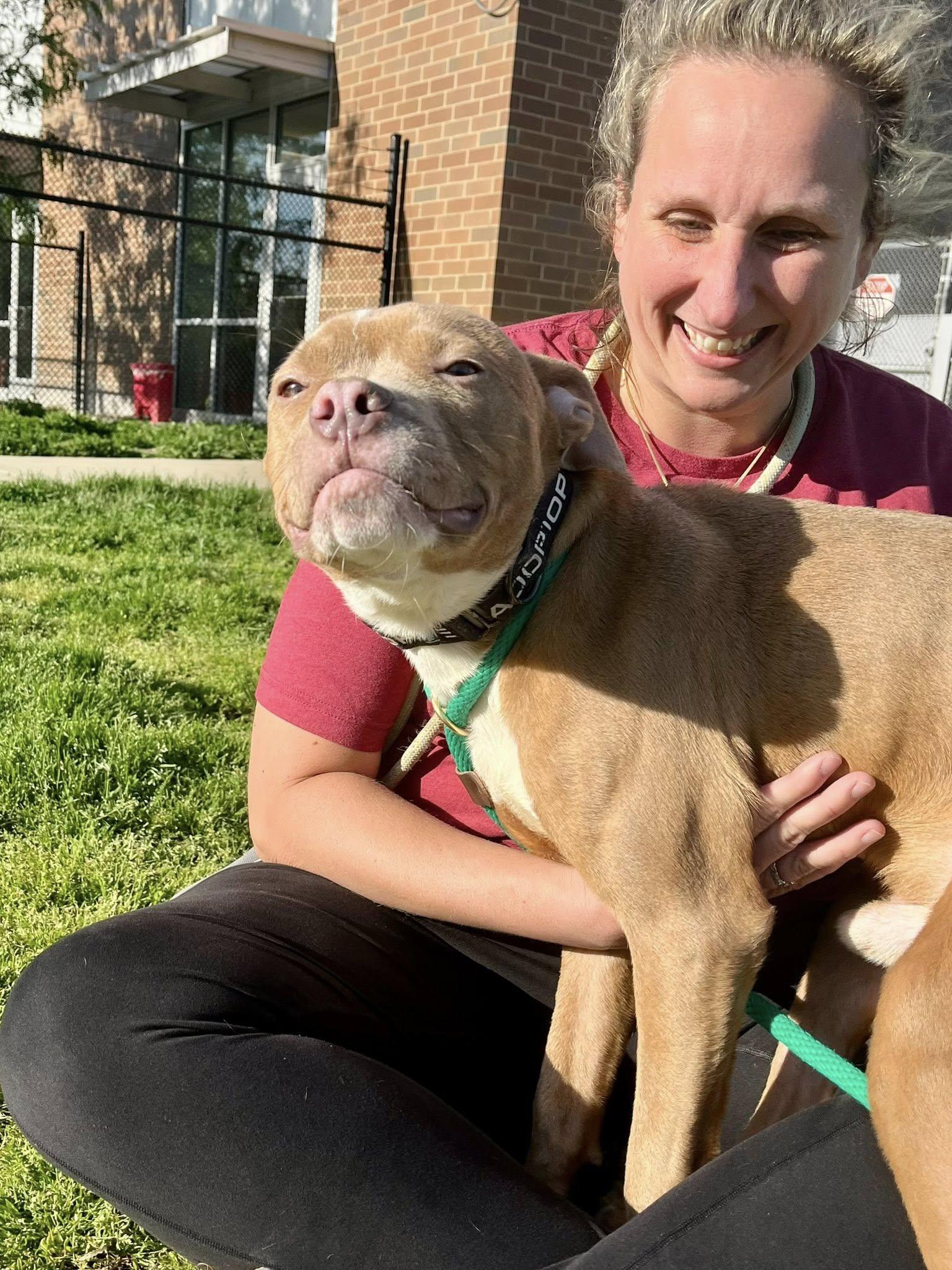 Davy, an adoptable mixed breed in Cleveland, OH image 5/6