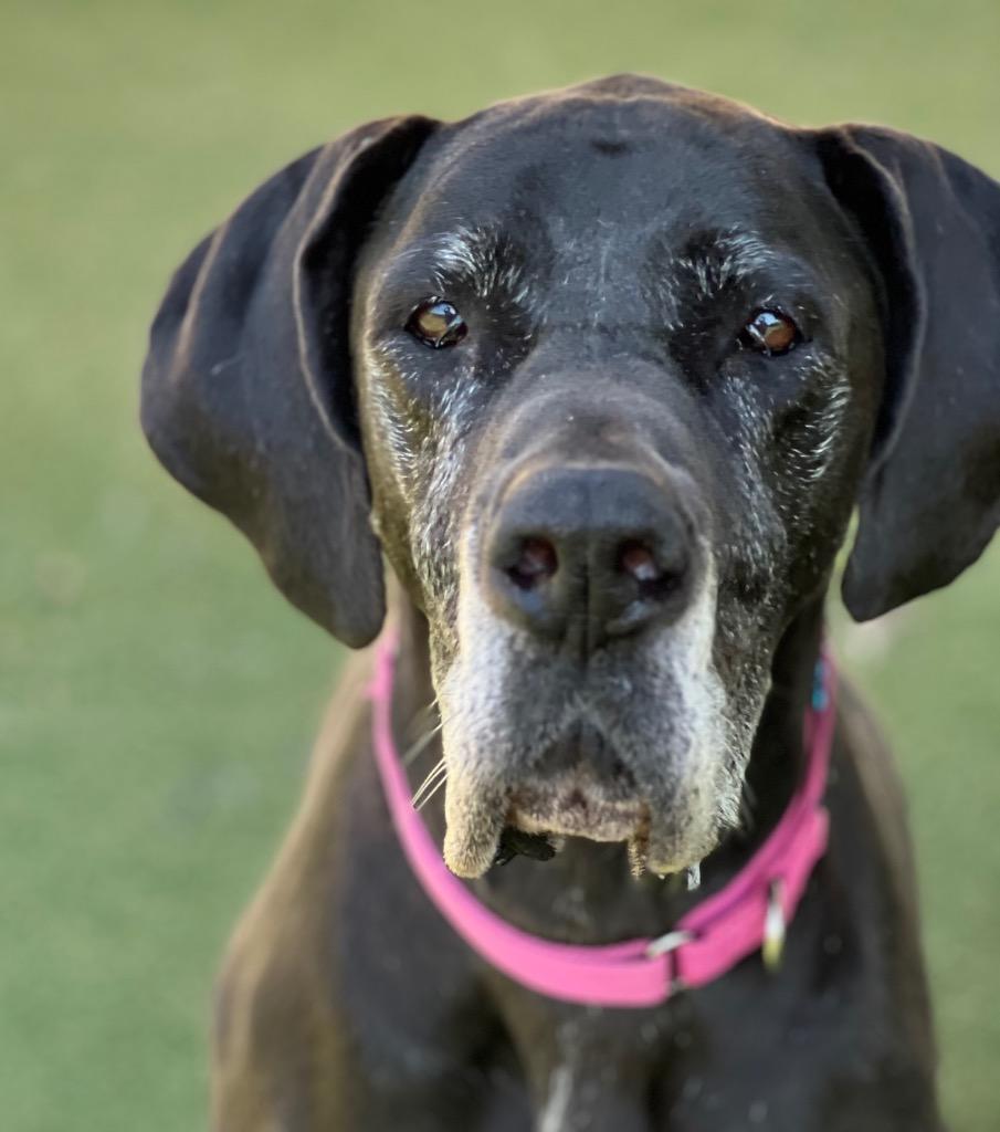 Daisy Mae thumbnail 2