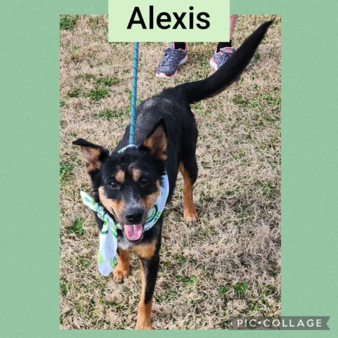 Alexis (lexi Rae) thumbnail 4