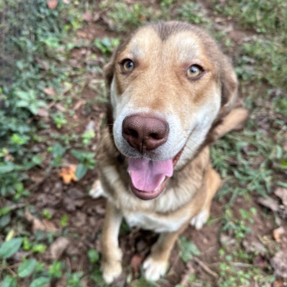 Booger — thumbnail 2