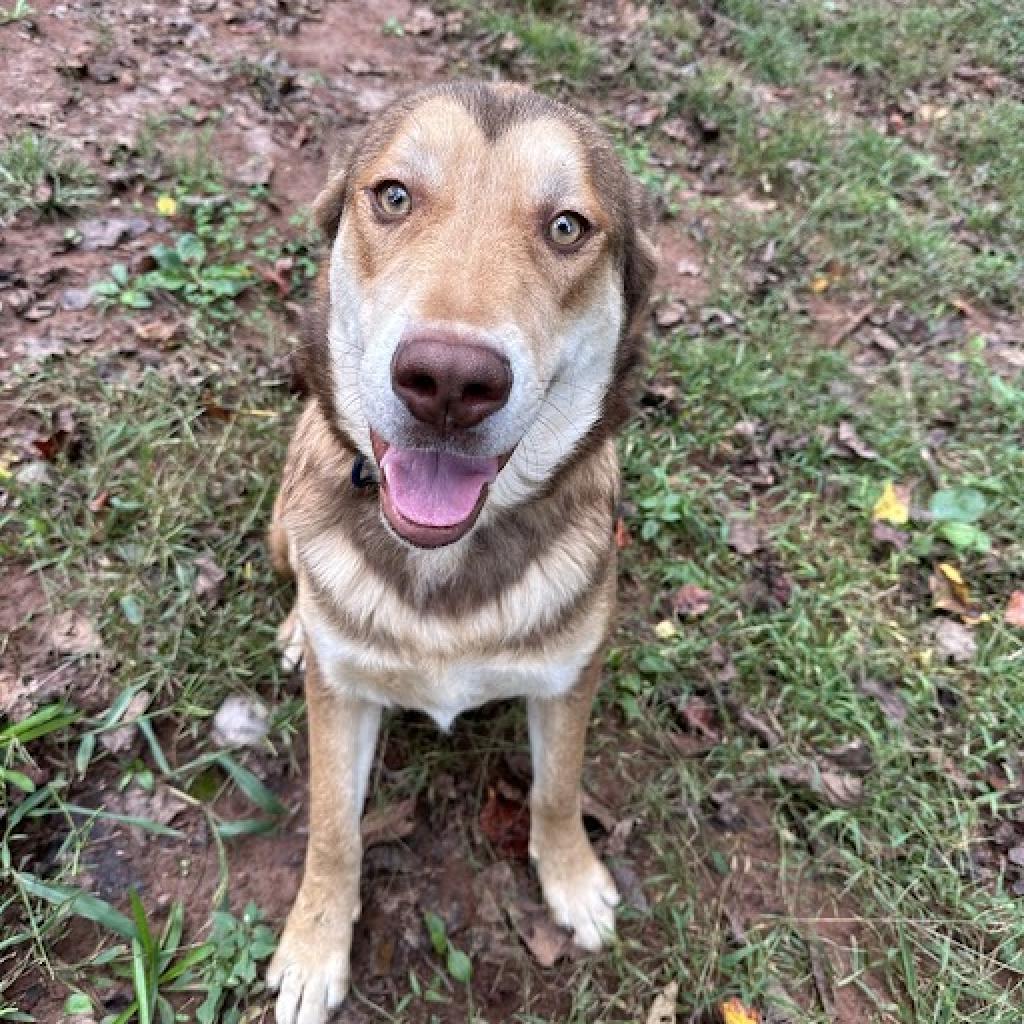 Booger — thumbnail 3