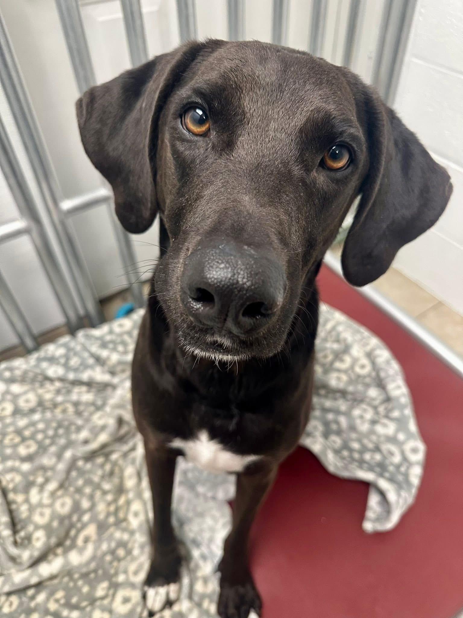 Buster