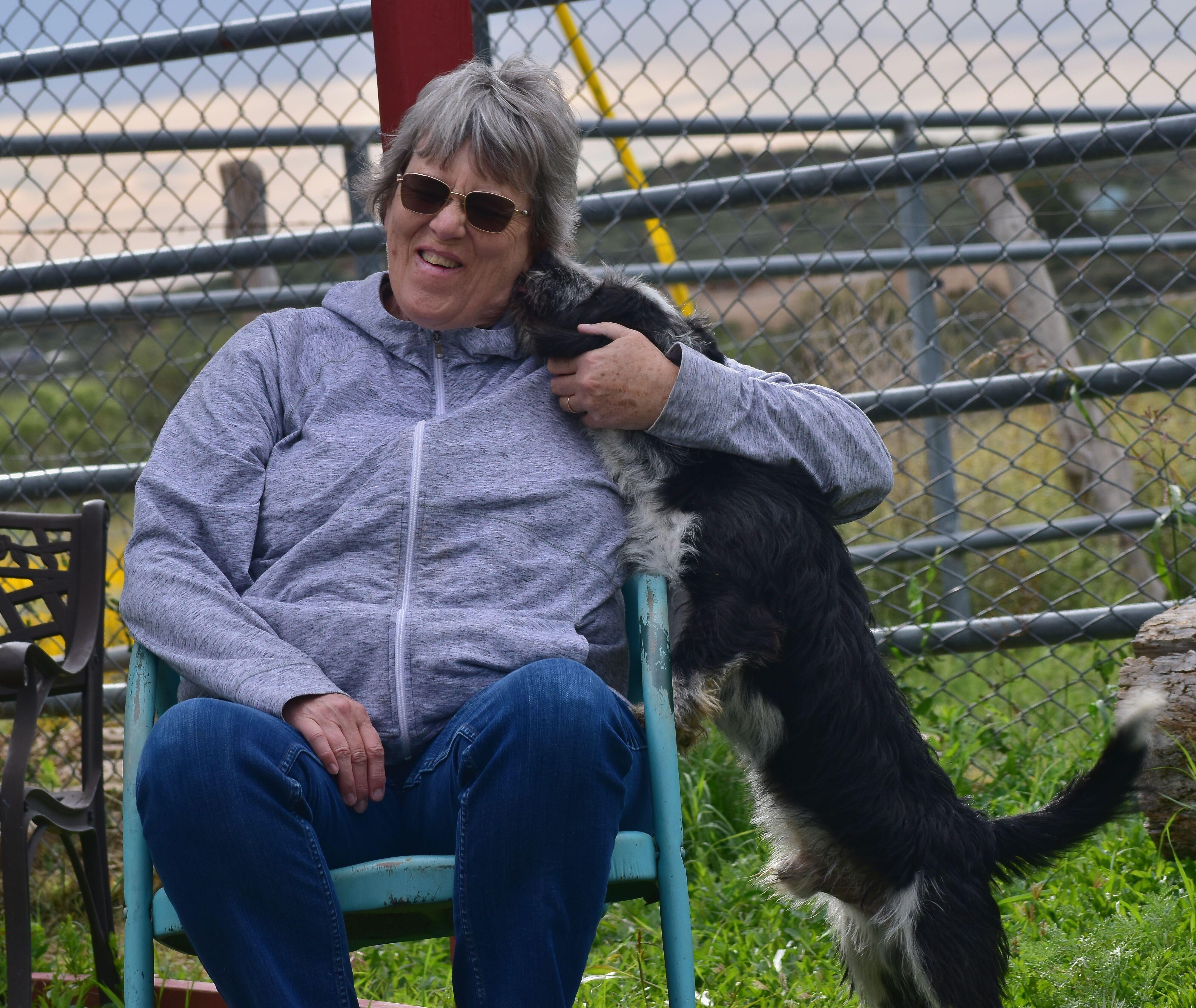 Enlarge Simon, a Adoptable mixed breed in Mayer, AZ image 5/6