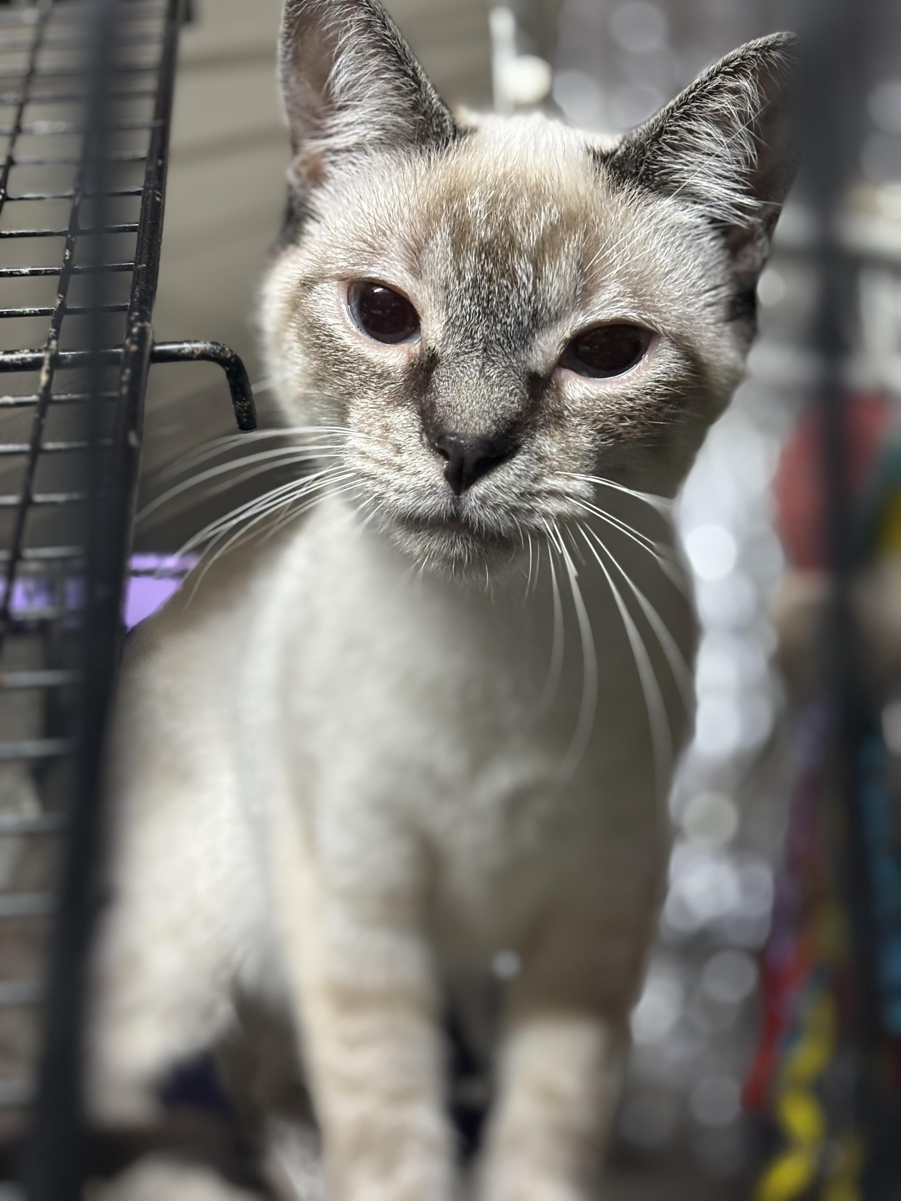 Sammy — thumbnail 3