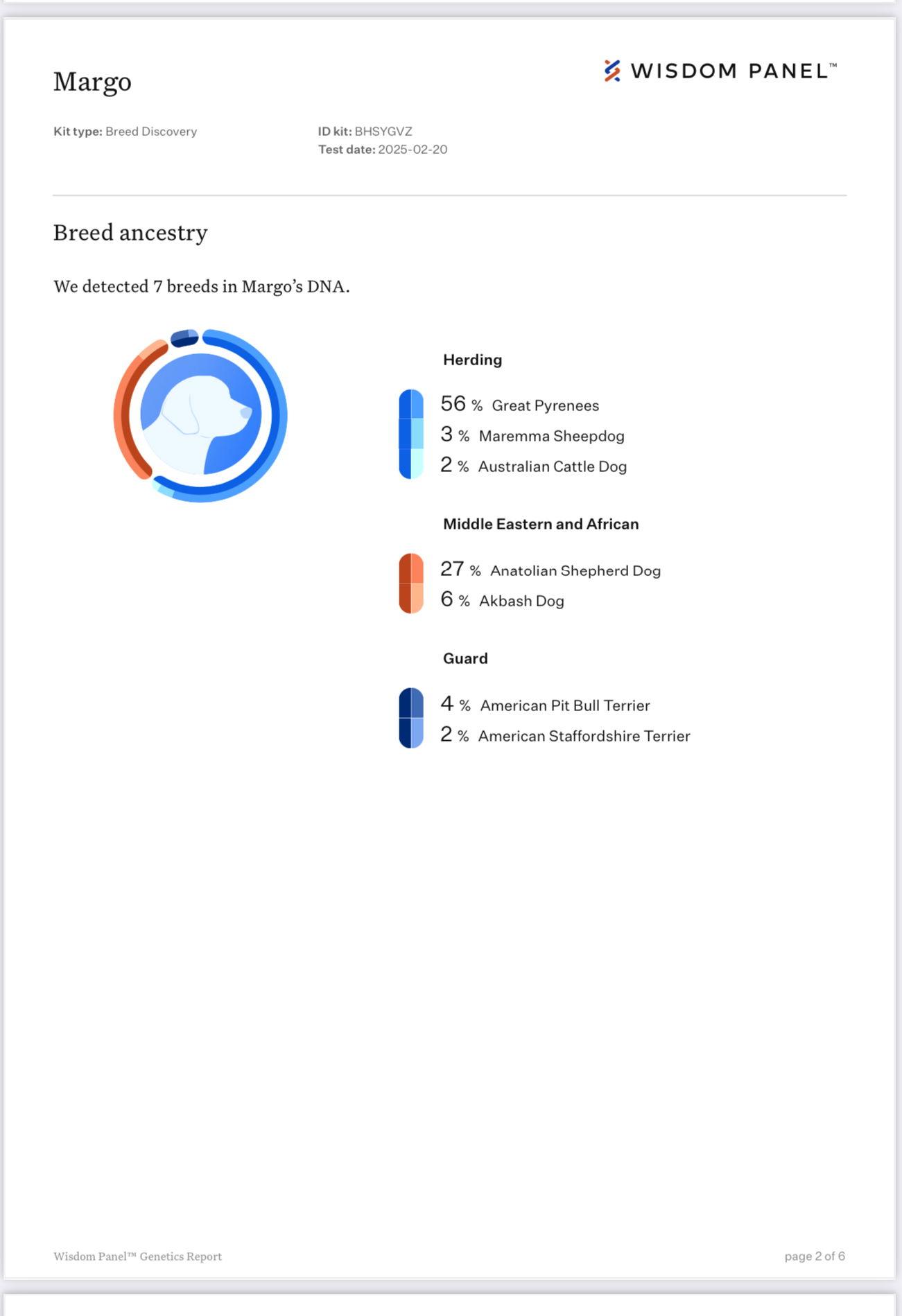 MARGO, a Adopted mixed breed in Peyton, CO image 3/3