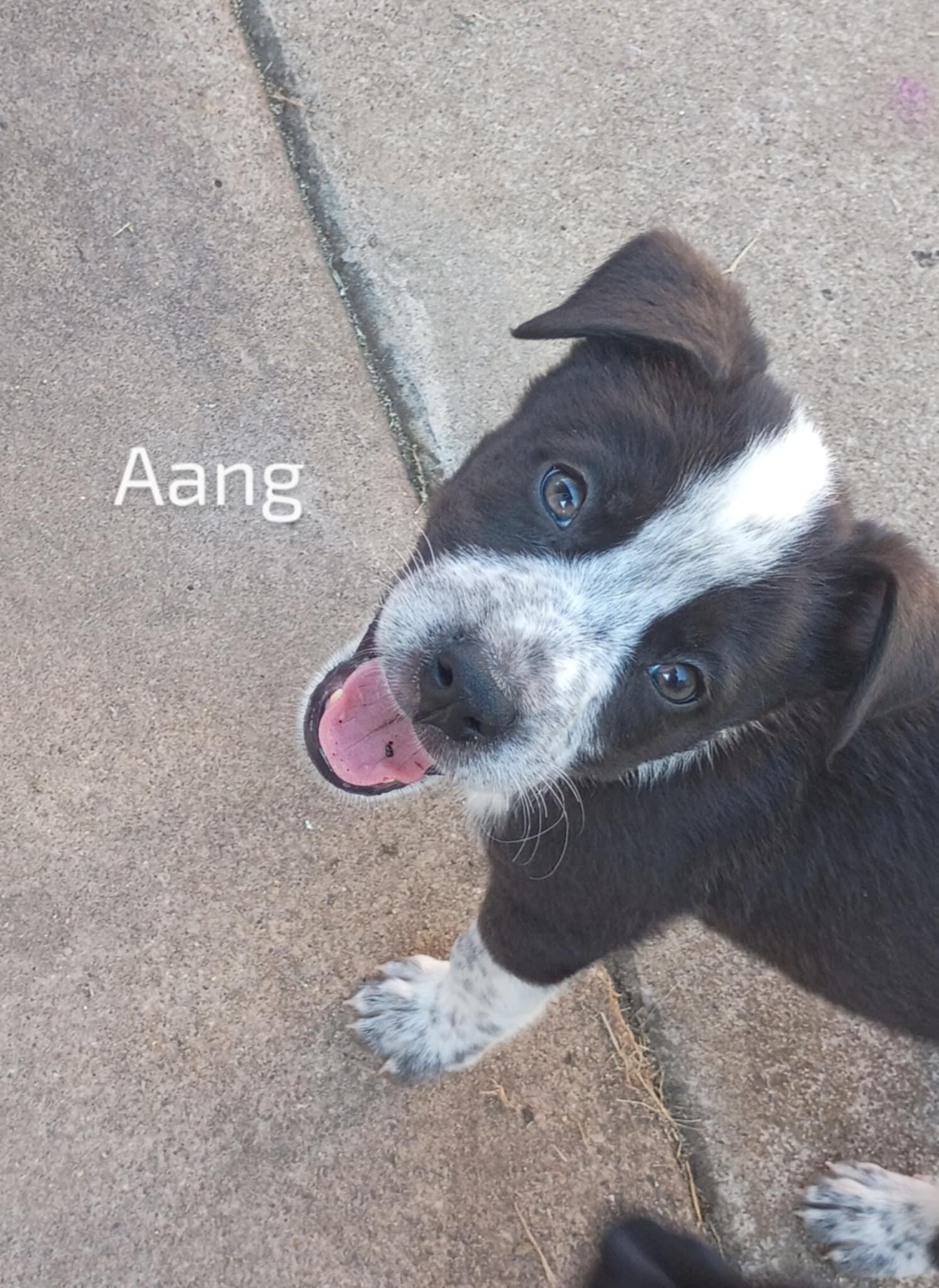 Aang