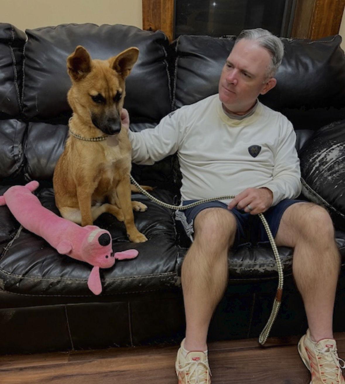 Enlarge Esme, a Adoptable mixed breed in Mount Laurel, NJ image 2/3