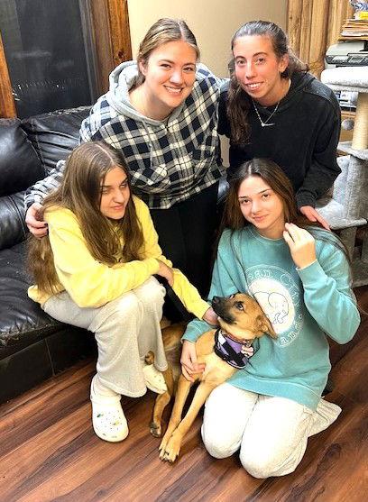 Enlarge Esme, a Adoptable mixed breed in Mount Laurel, NJ image 3/3