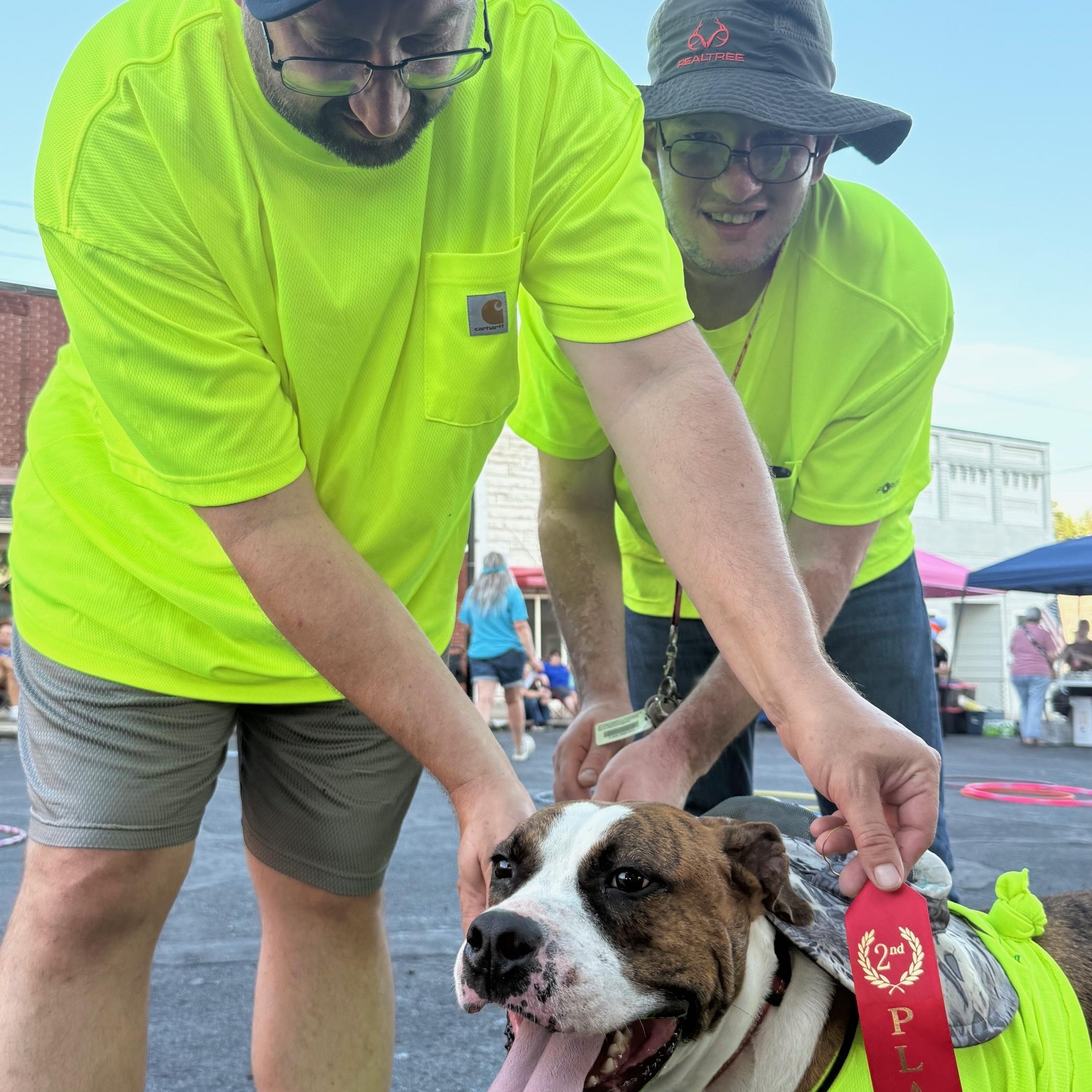 Aries, an adoptable American Staffordshire Terrier, American Bulldog in Albany, MO, 64402 | Photo Image 4