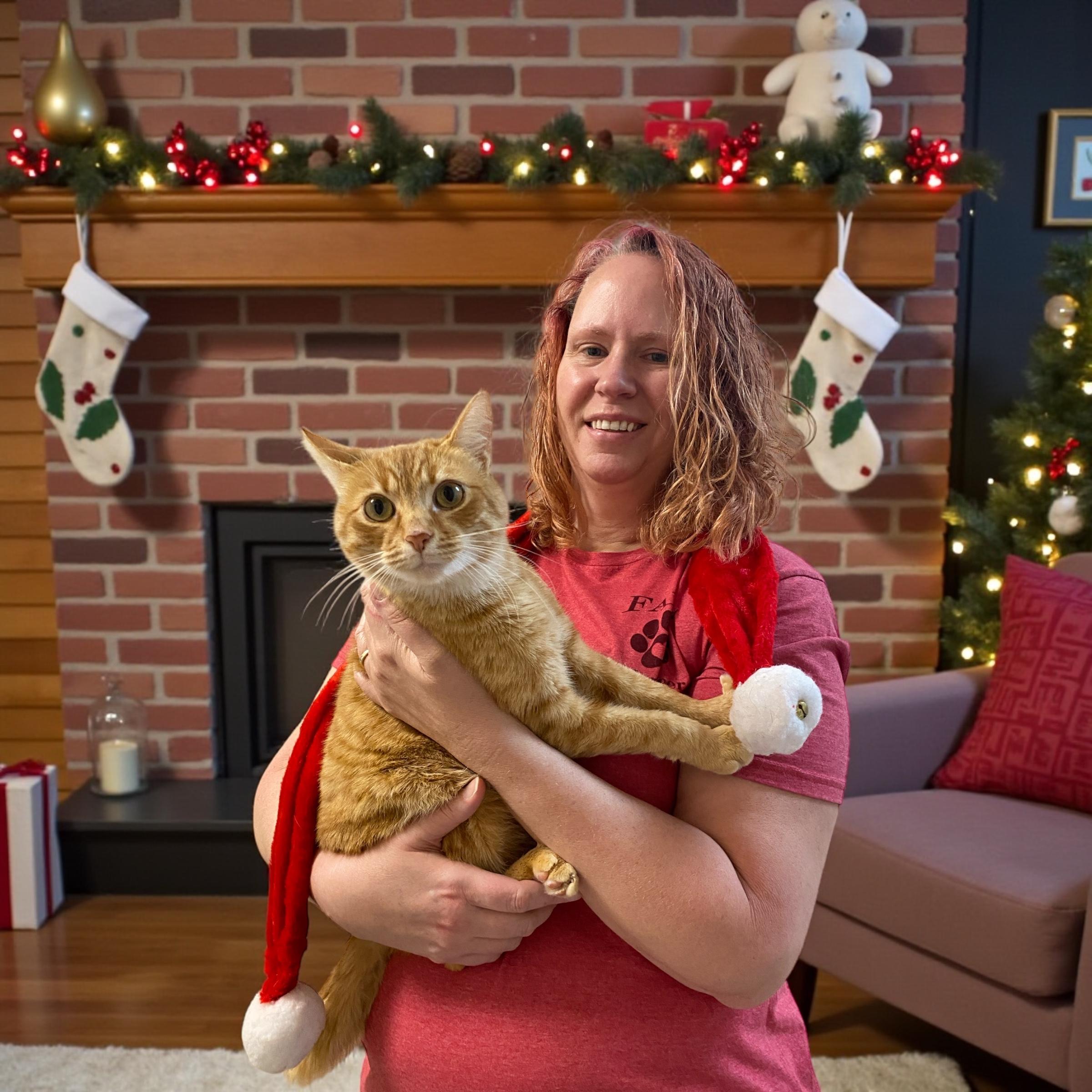 Enlarge Colby, a Adoptable Domestic Short Hair in Elyria, OH image 1/1