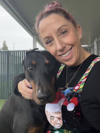 Enlarge Rock Lee, an adopted mixed breed in Sacramento, CA image 3/3