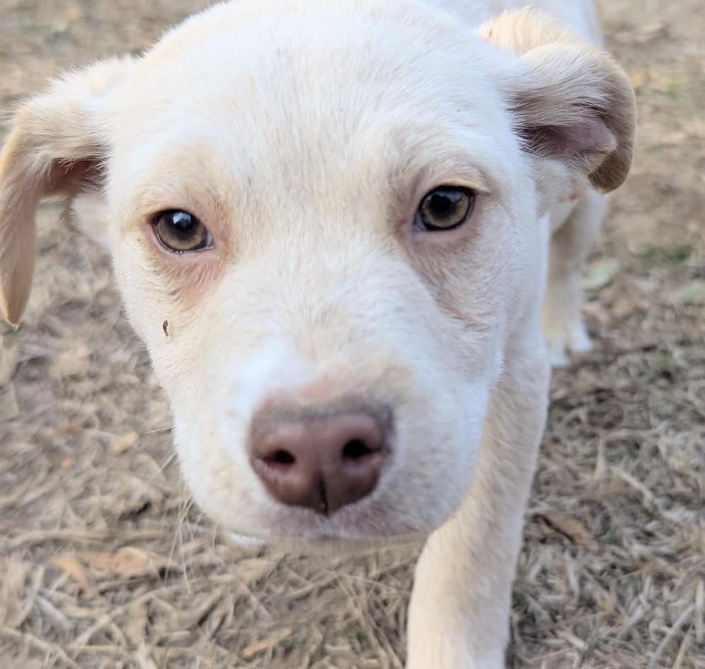 SUNNY — thumbnail 3