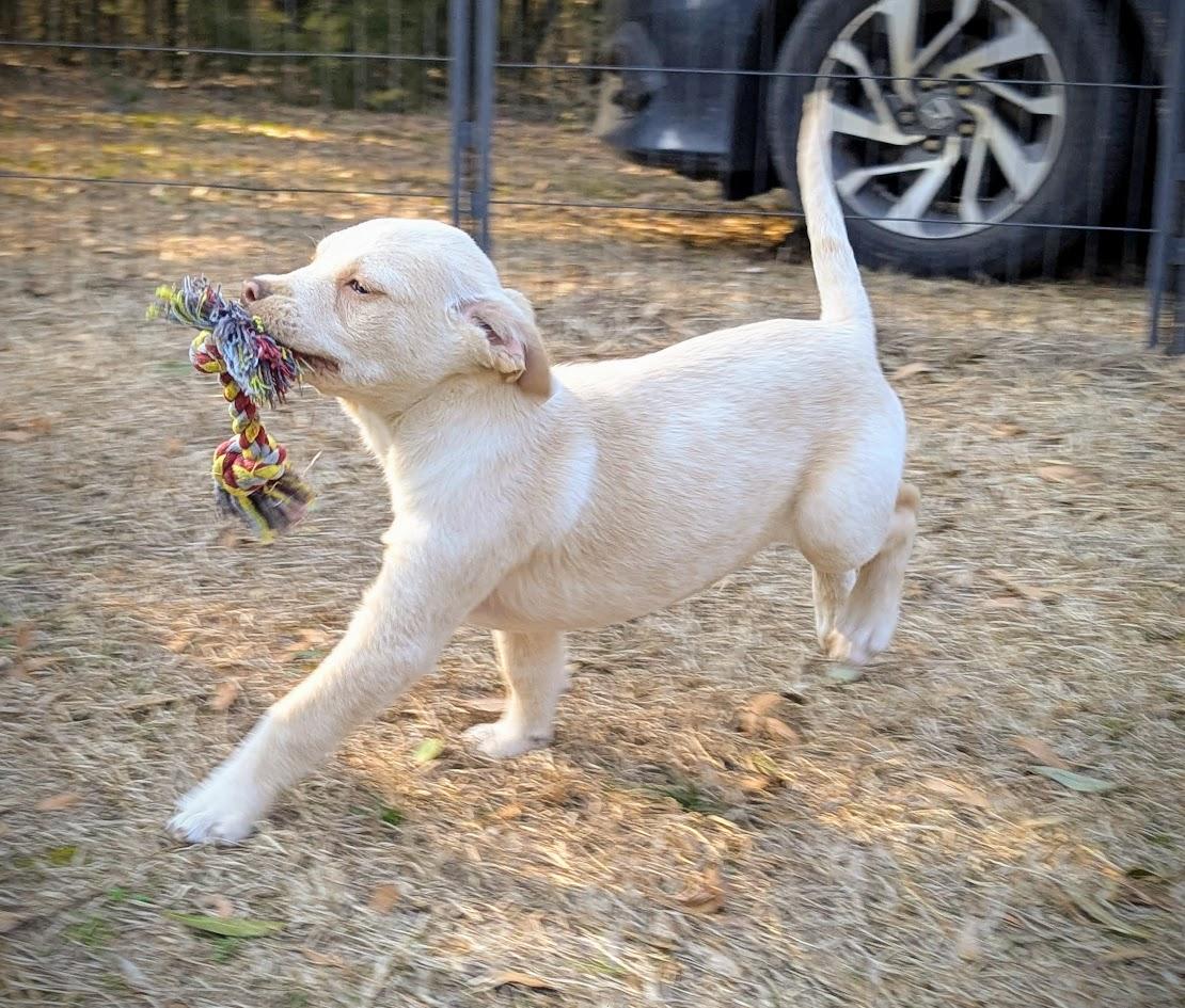 SUNNY — thumbnail 4