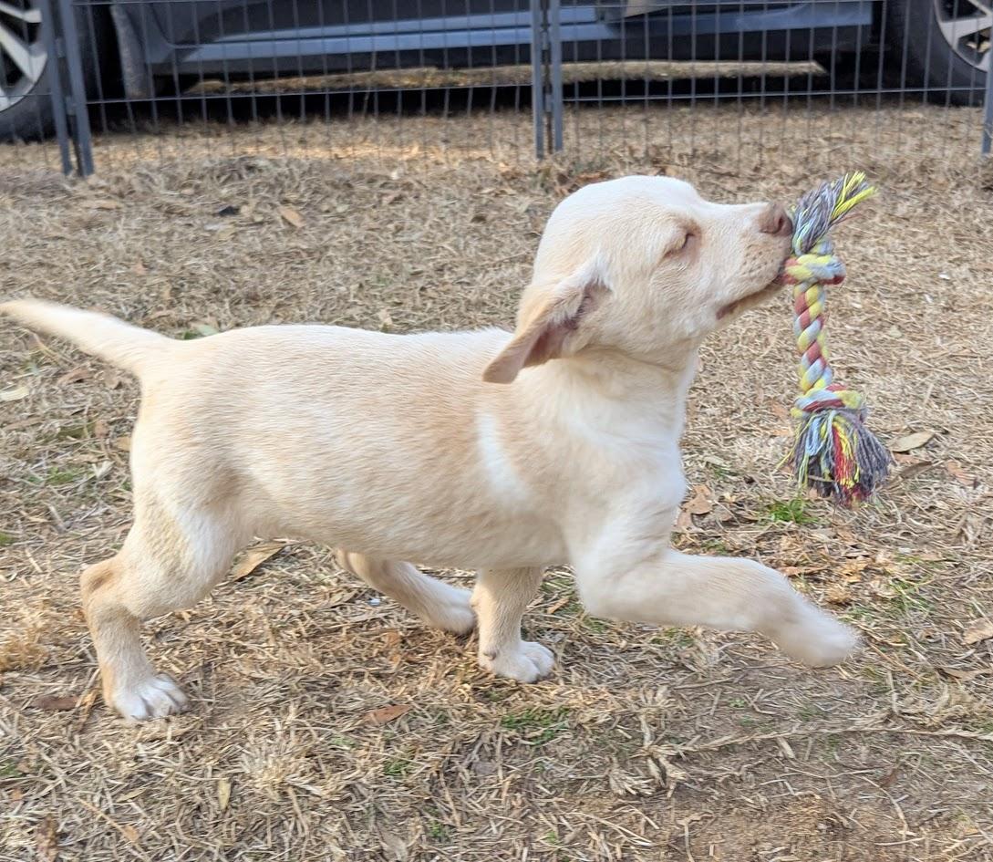 SUNNY — thumbnail 5