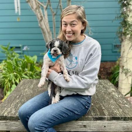 Enlarge Astrid, a Adoptable Shih Tzu in Pacific Grove, CA image 5/6