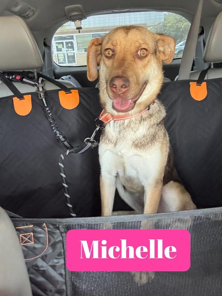 Michelle photo 4
