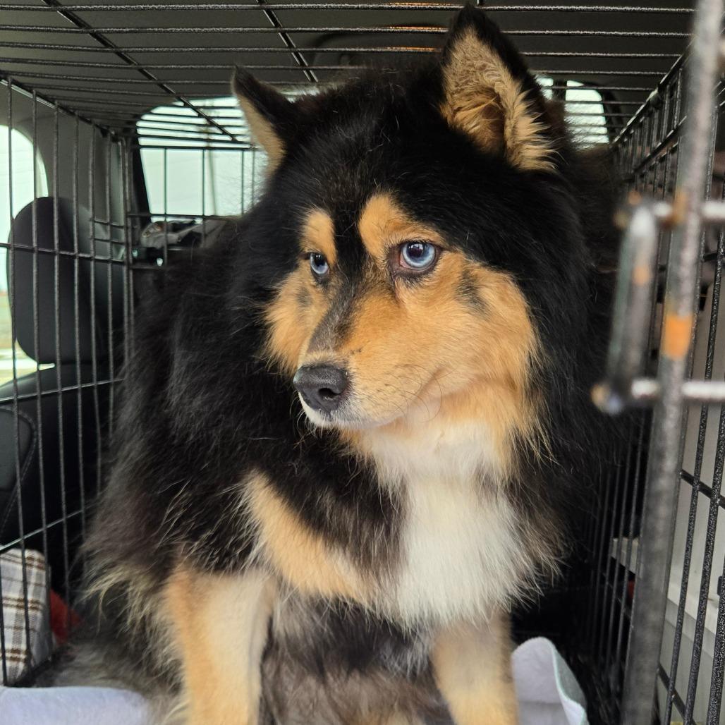 Opportunity Arises — thumbnail 2