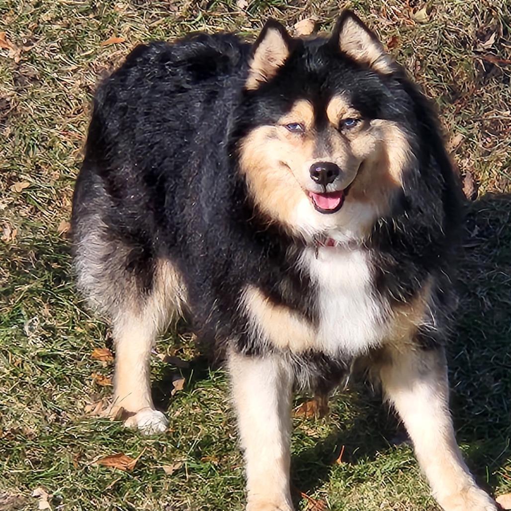 Opportunity Arises — thumbnail 3