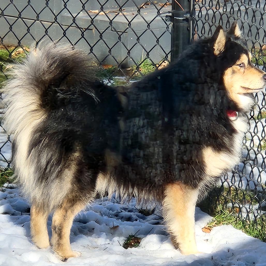 Opportunity Arises — thumbnail 4