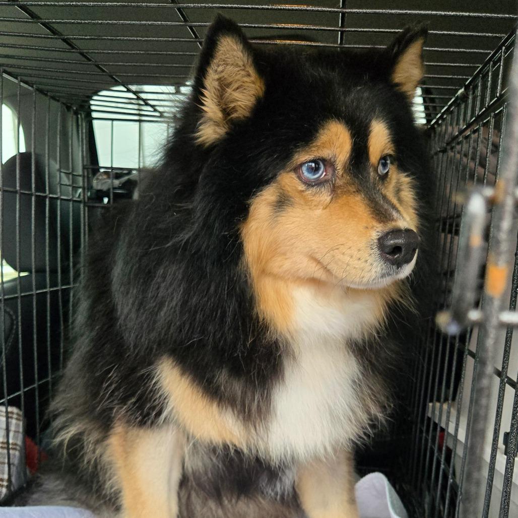 Opportunity Arises — thumbnail 5