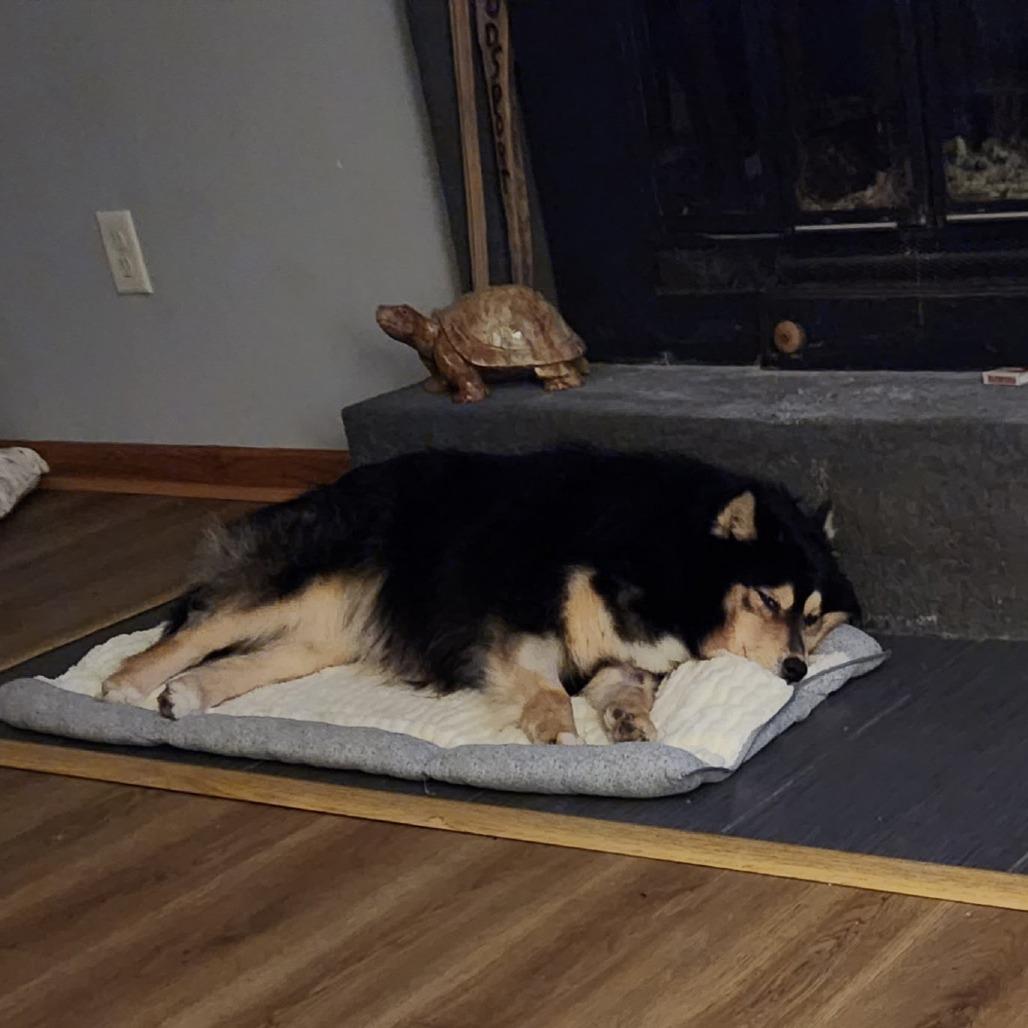 Opportunity Arises — thumbnail 6