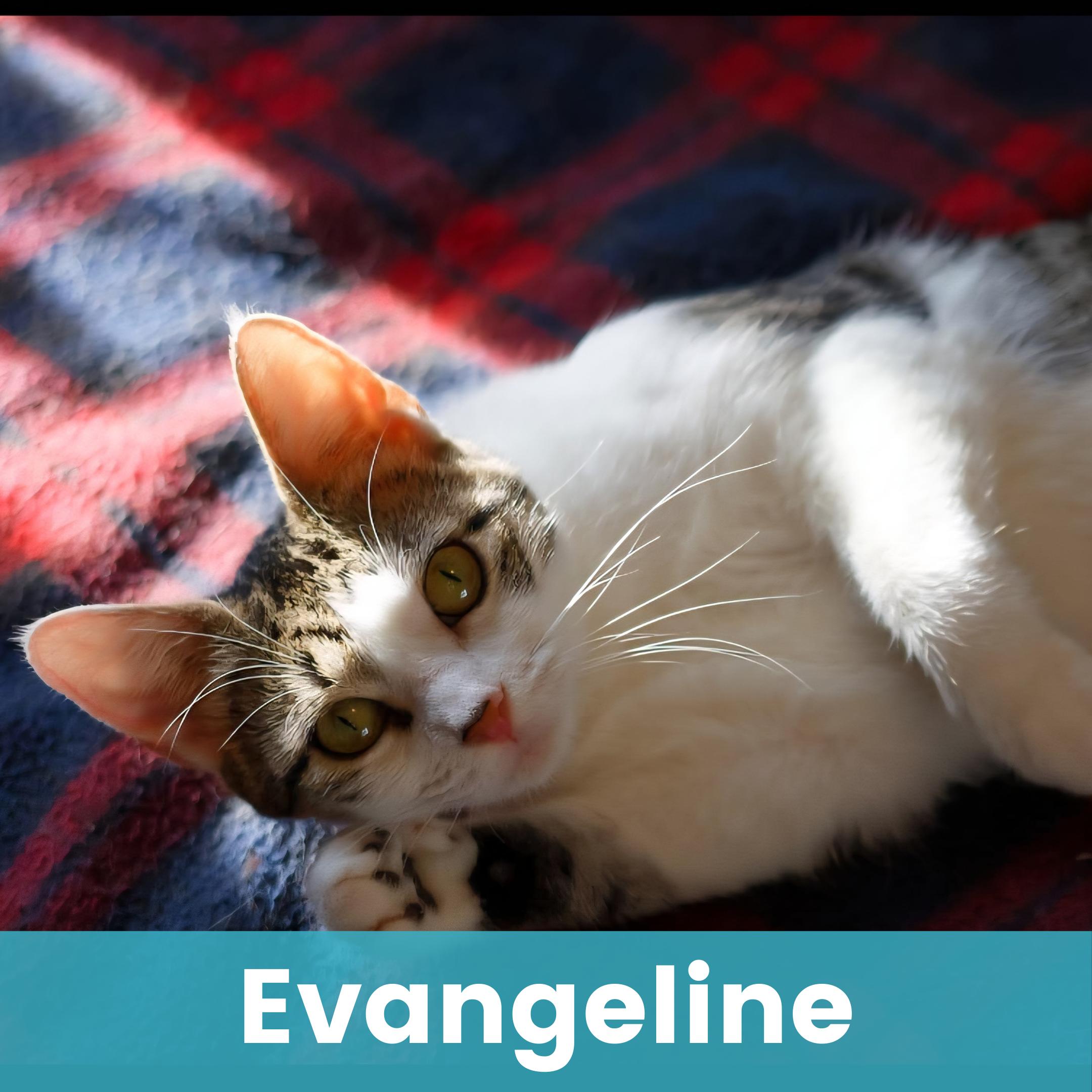 Evangeline