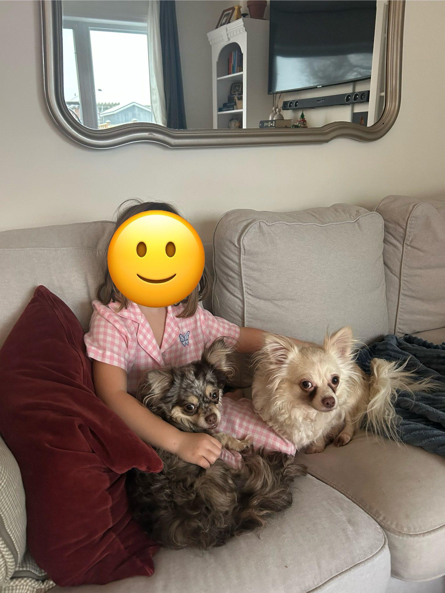 Enlarge Thelma + Louise, a Adoptable mixed breed in Woodstock, ON image 4/5