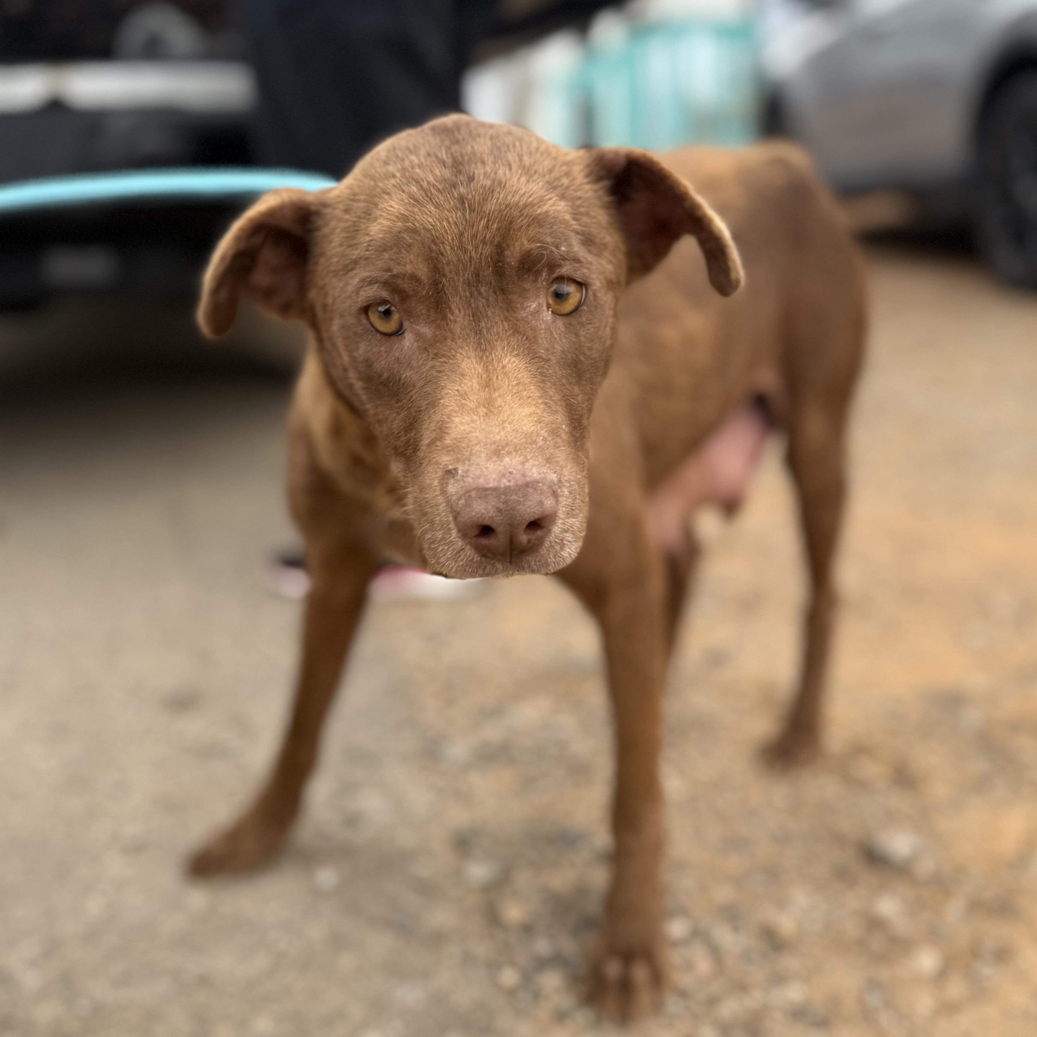 Multiplication — thumbnail 2