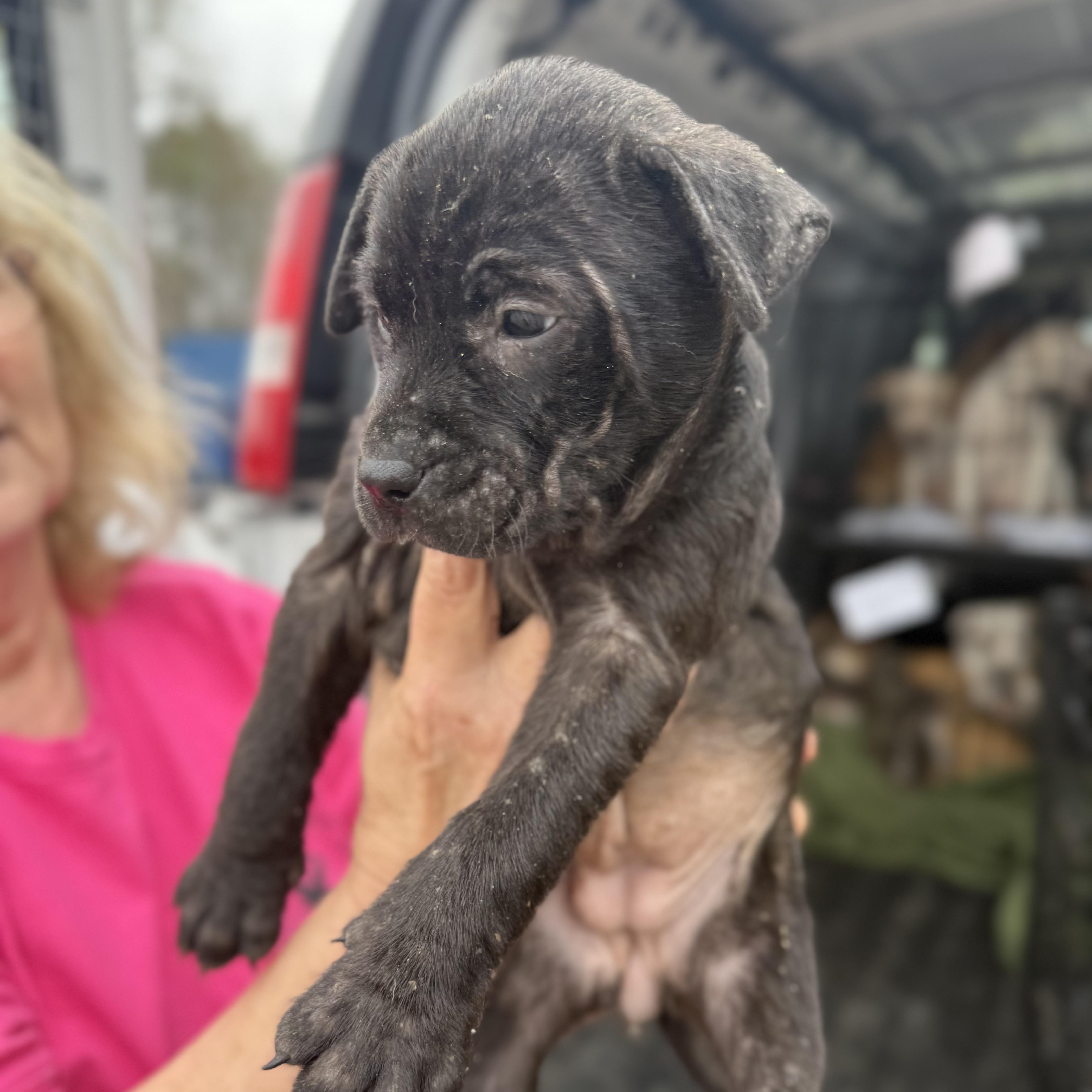 Multiplication — thumbnail 5