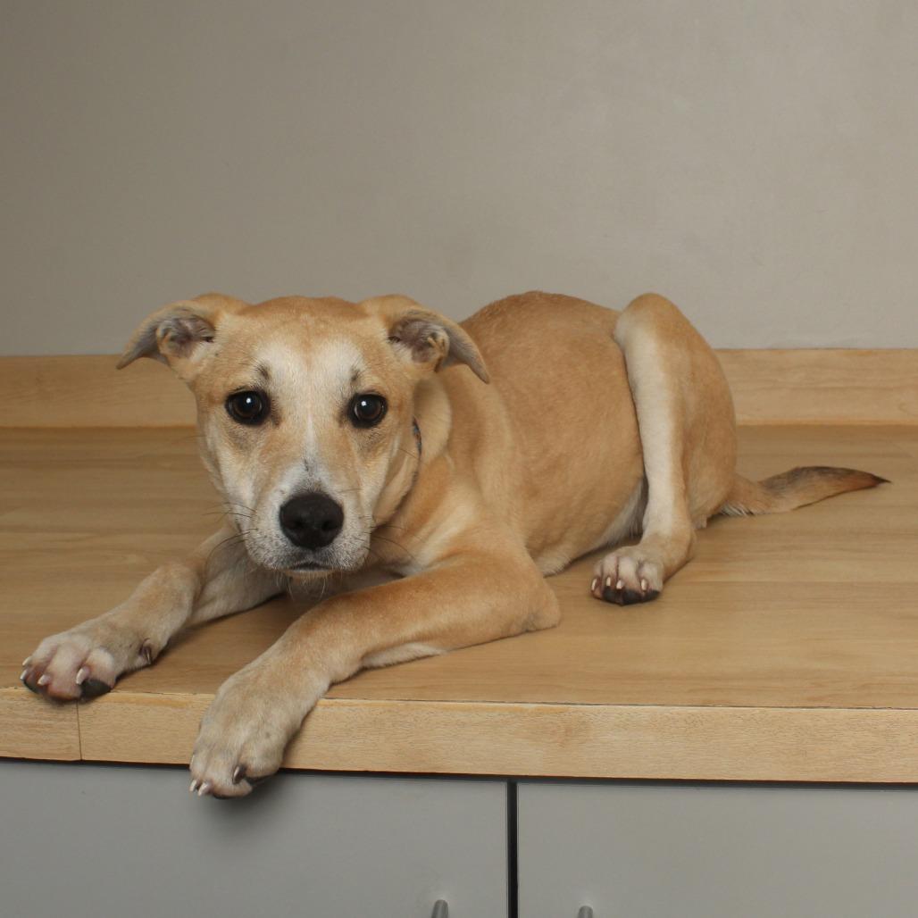 Marley D thumbnail 3