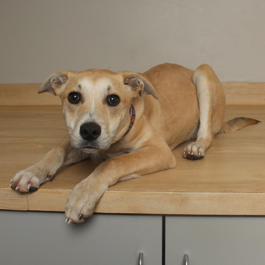 Marley D thumbnail 4