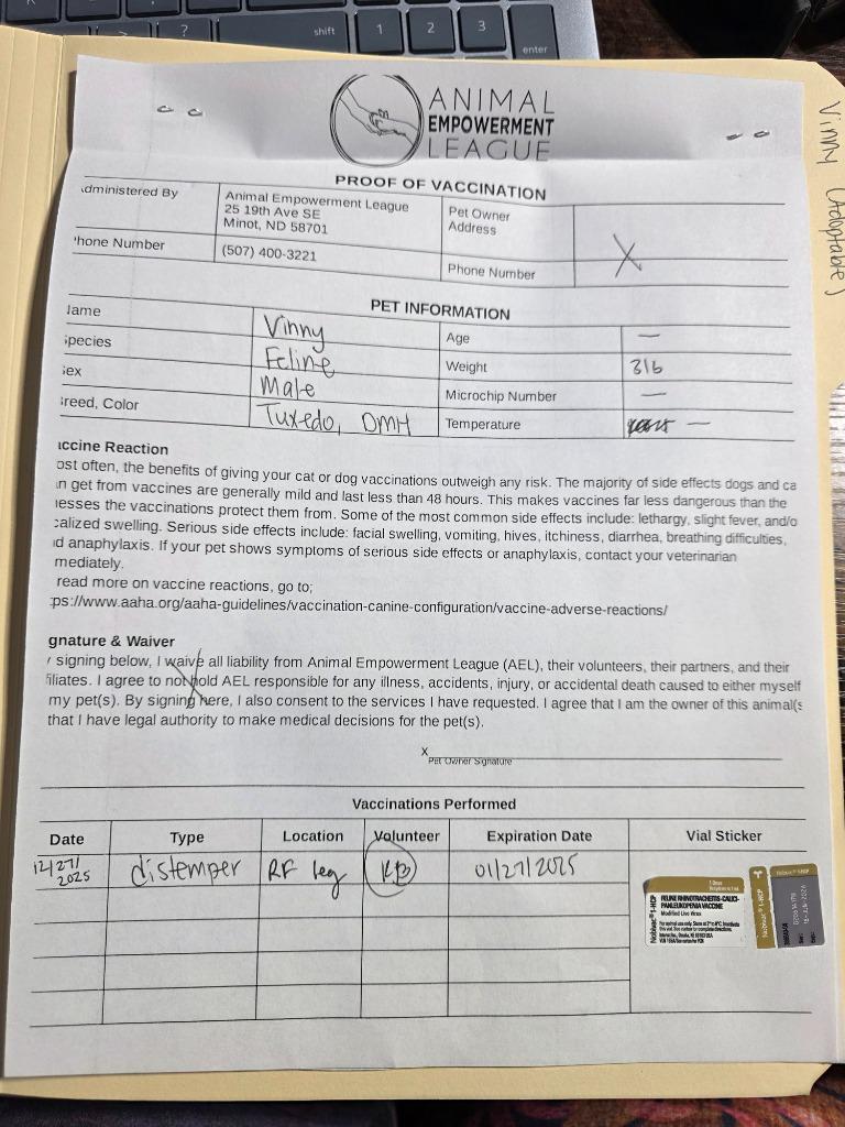 Vinny, a Adoptable mixed breed in Minot, ND image 2/4