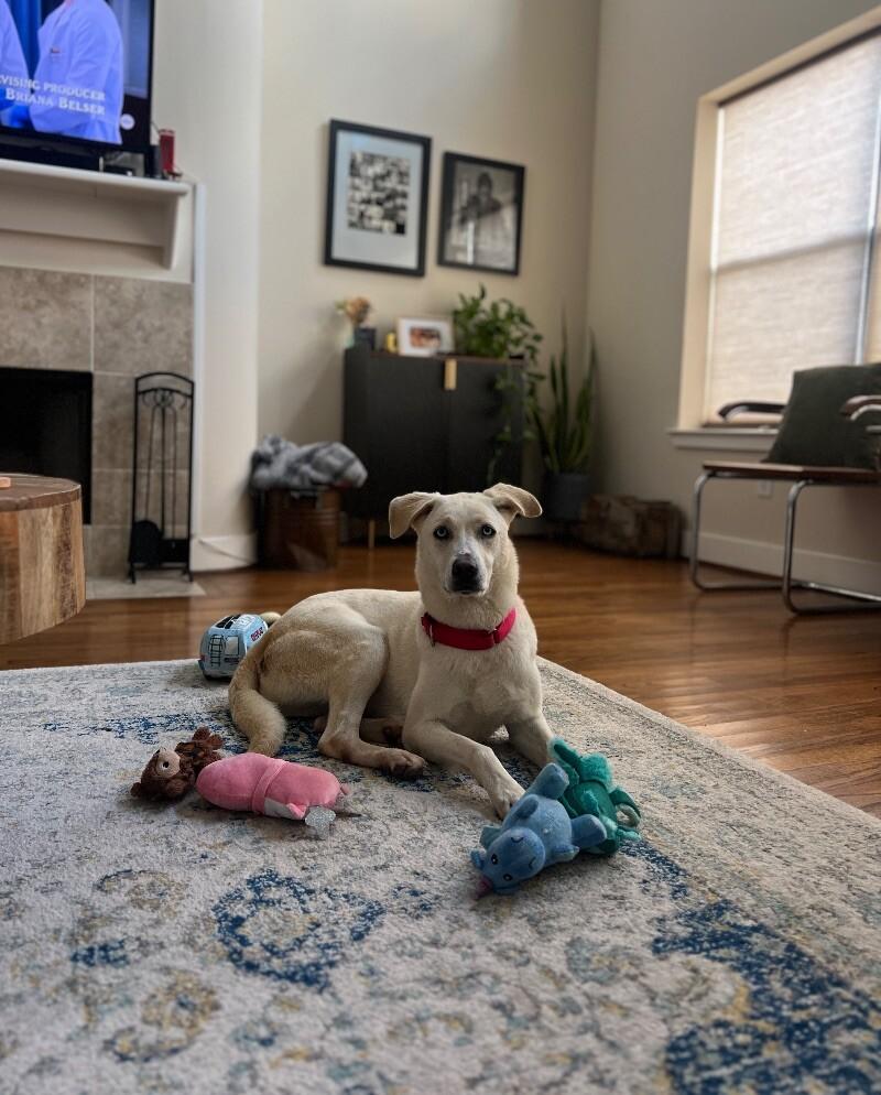 Rory right on time tv watching family girl — thumbnail 4