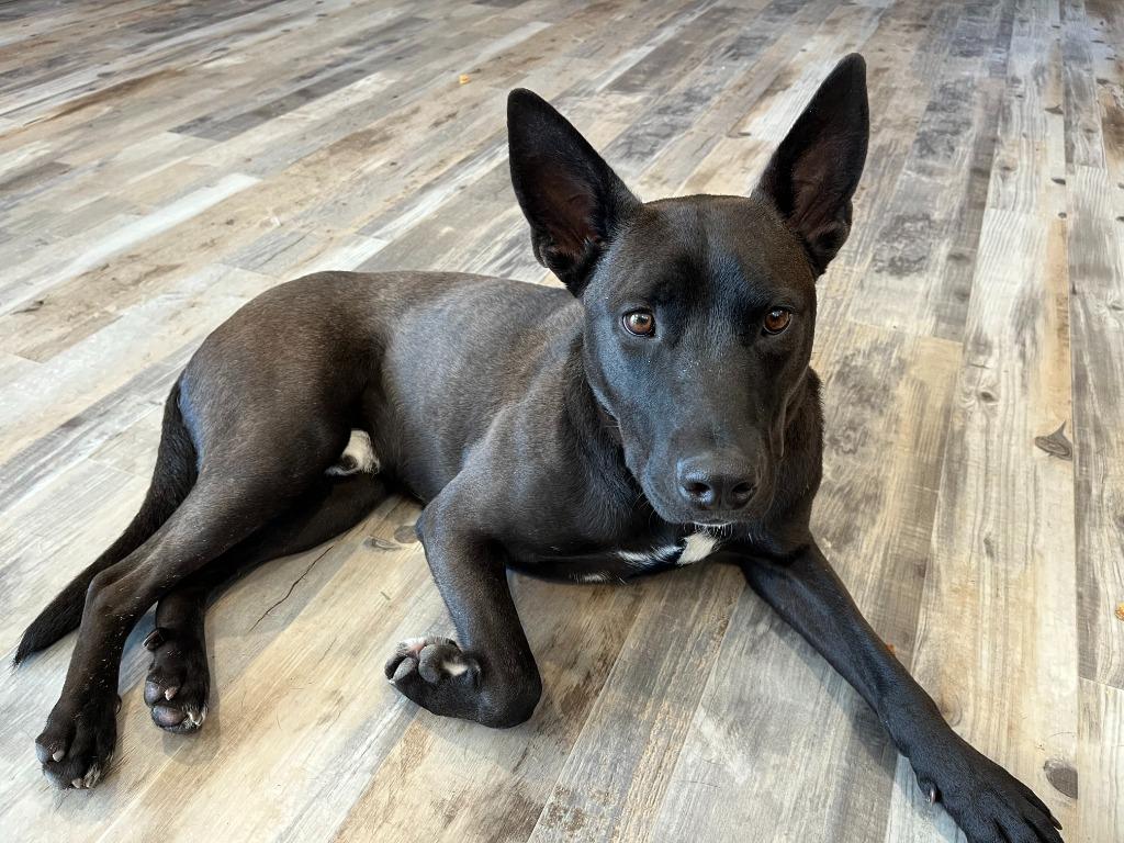 Luca