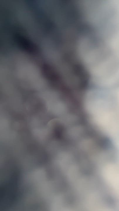 Enlarge Maxie, a Adopted Entlebucher in Holly Springs, MS video 5/5