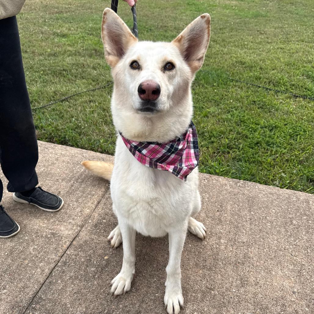 Katrina — thumbnail 6