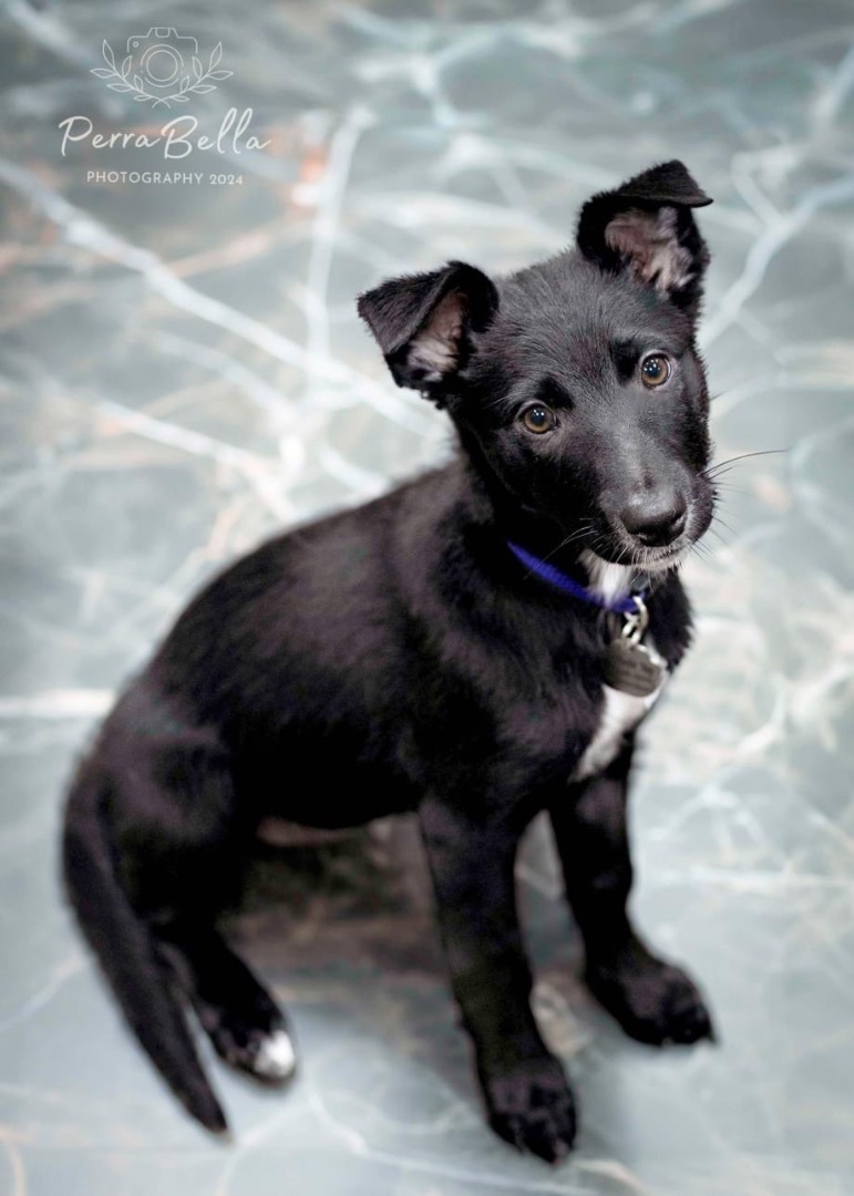Sakari photo 3