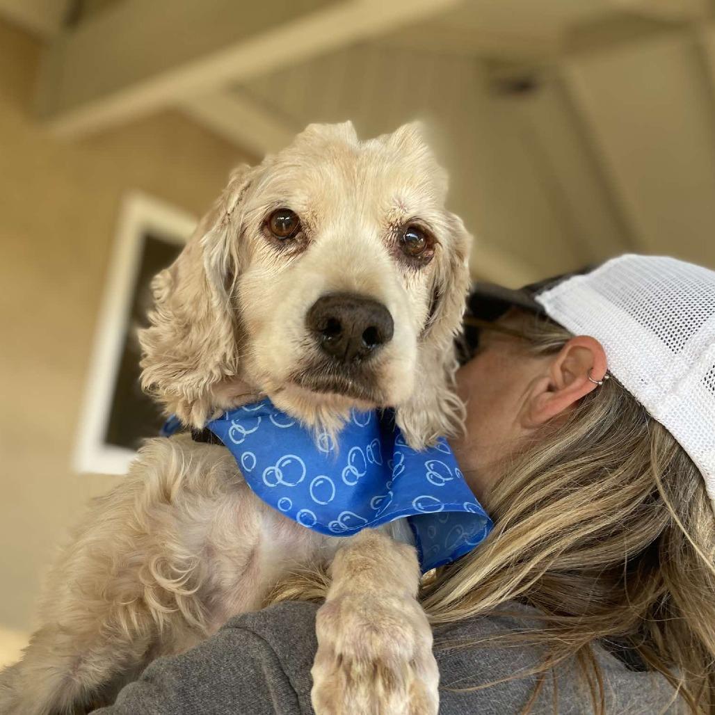 Prince — thumbnail 2