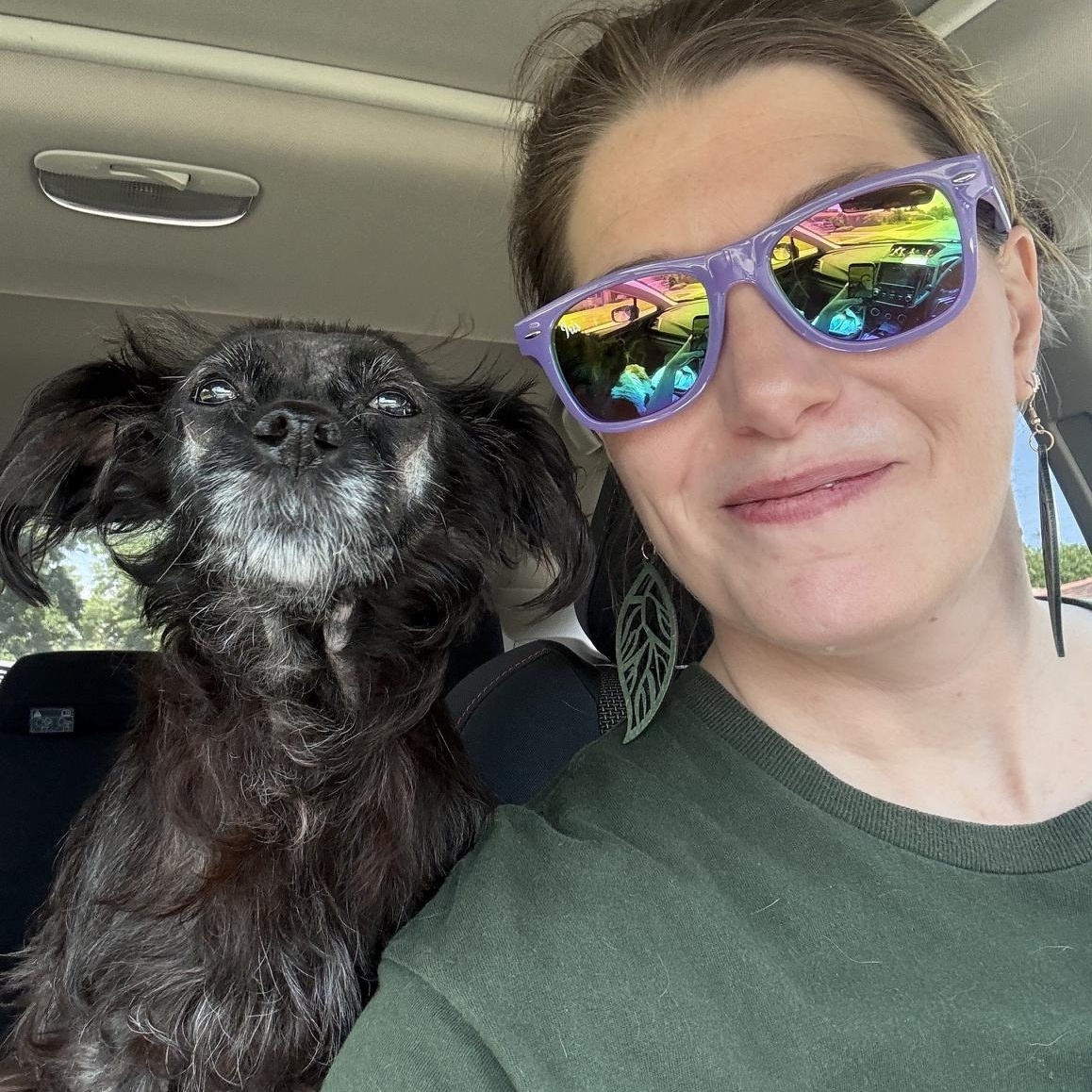 Noelle - In Foster, a Adoptable mixed breed in Jefferson, LA image 1/5