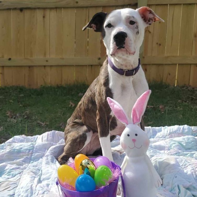 Cleo - **SPONSORED ADOPTION**