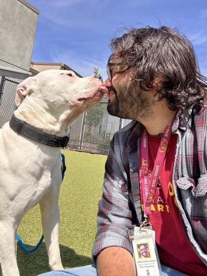 Enlarge Cheddar, a Adoptable mixed breed in Wichita, KS image 3/3