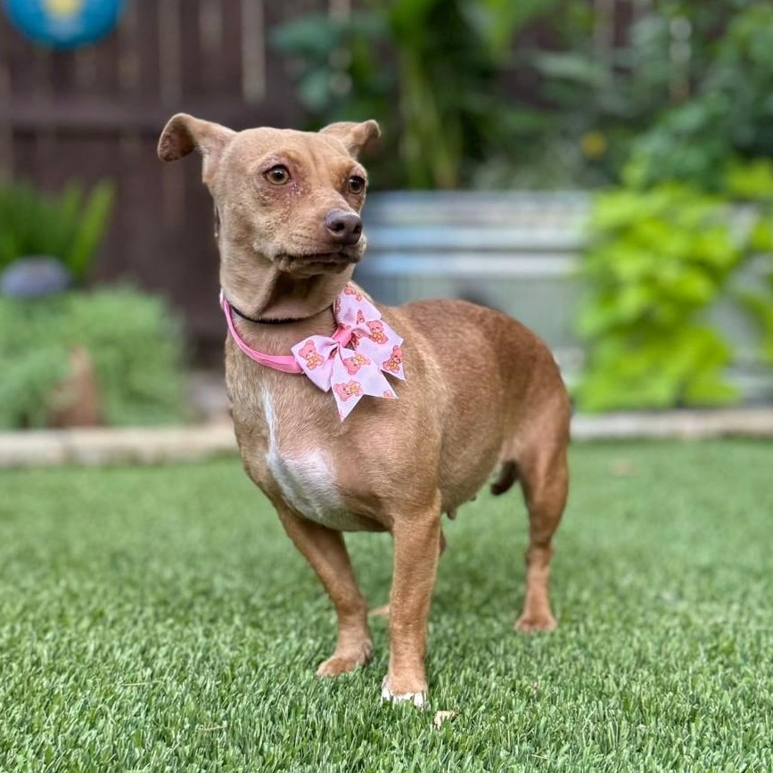 Wilma photo 3