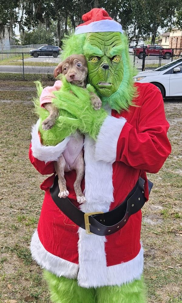 Stink Mcsnuggie thumbnail 2