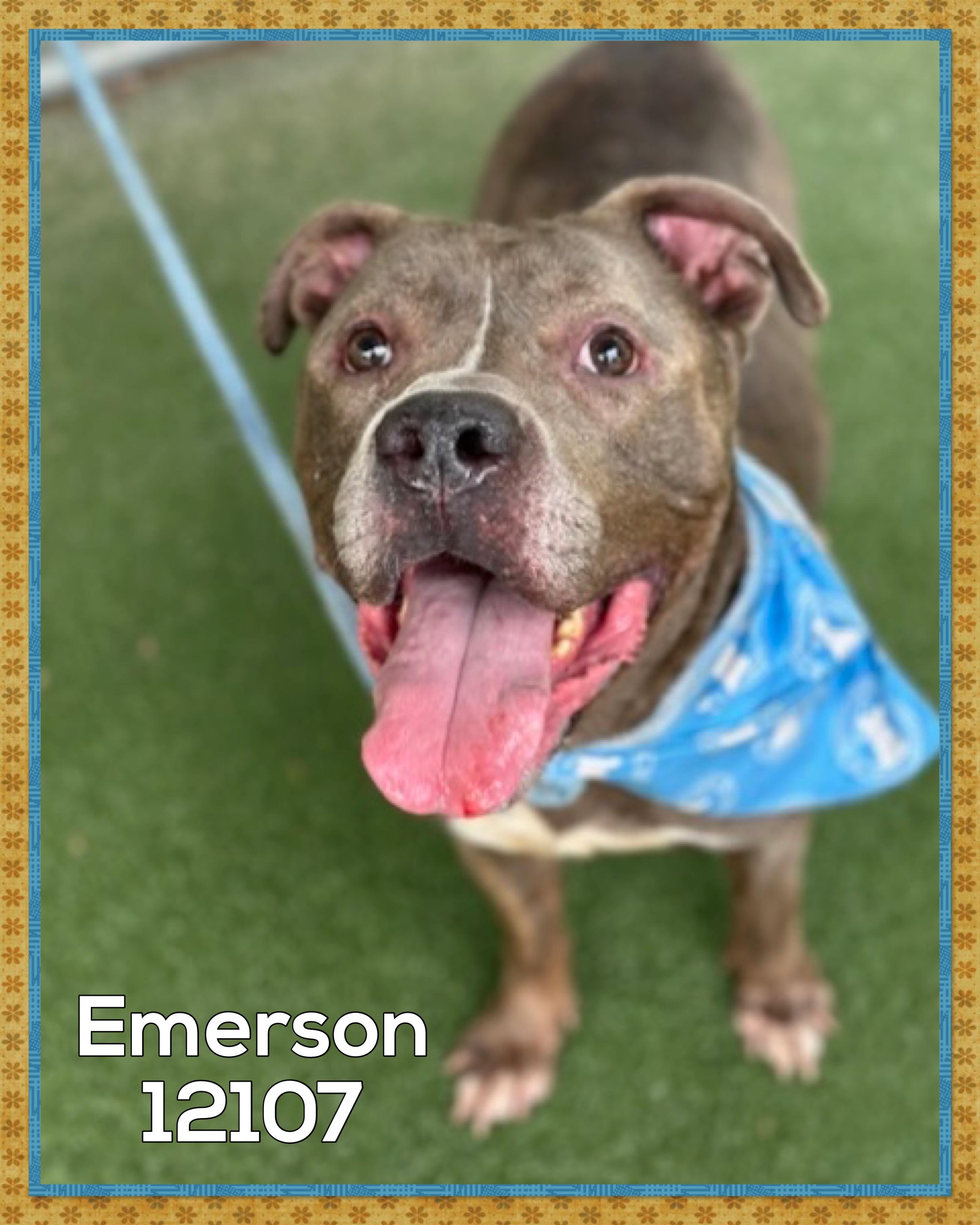EMERSON