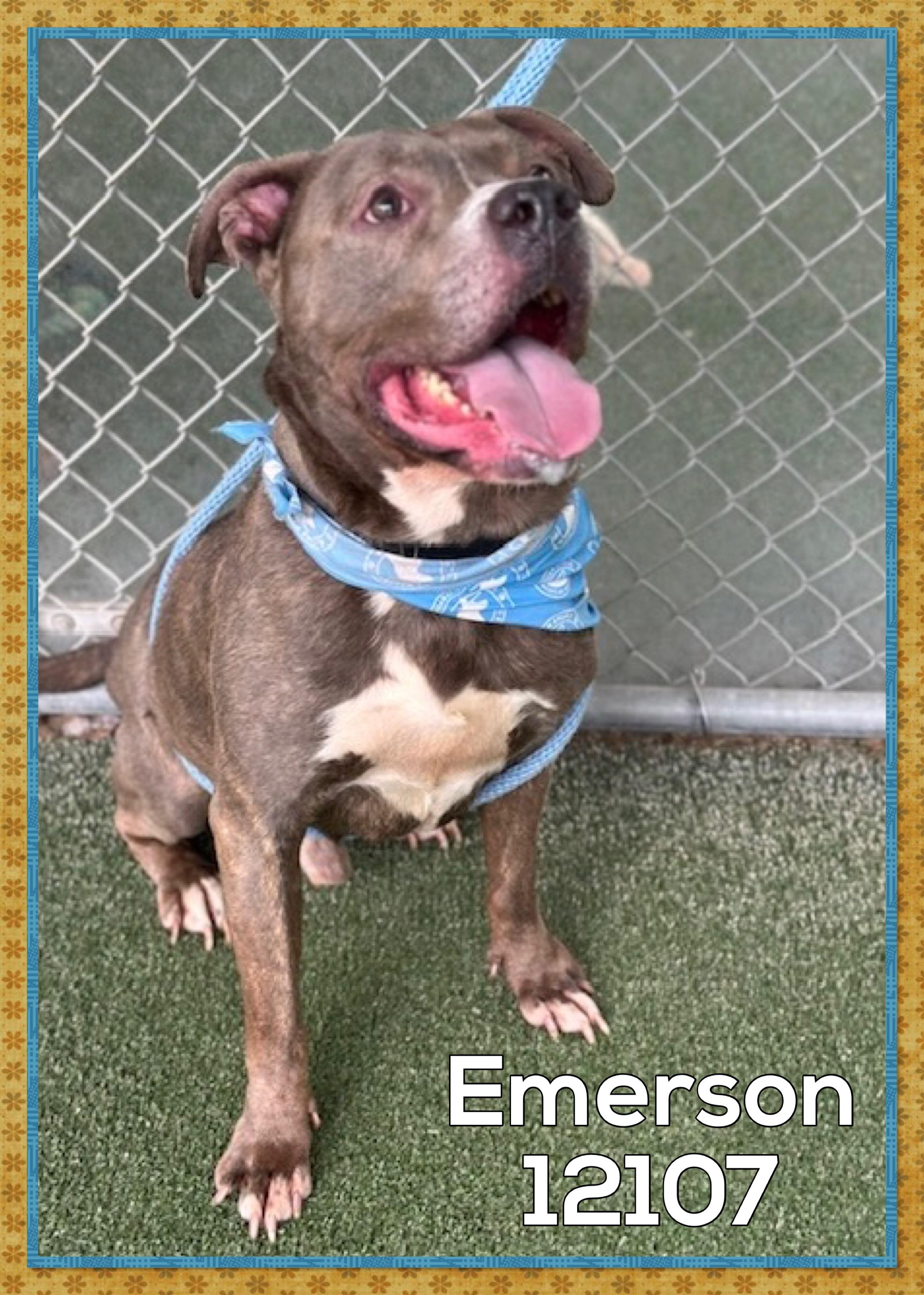 EMERSON
