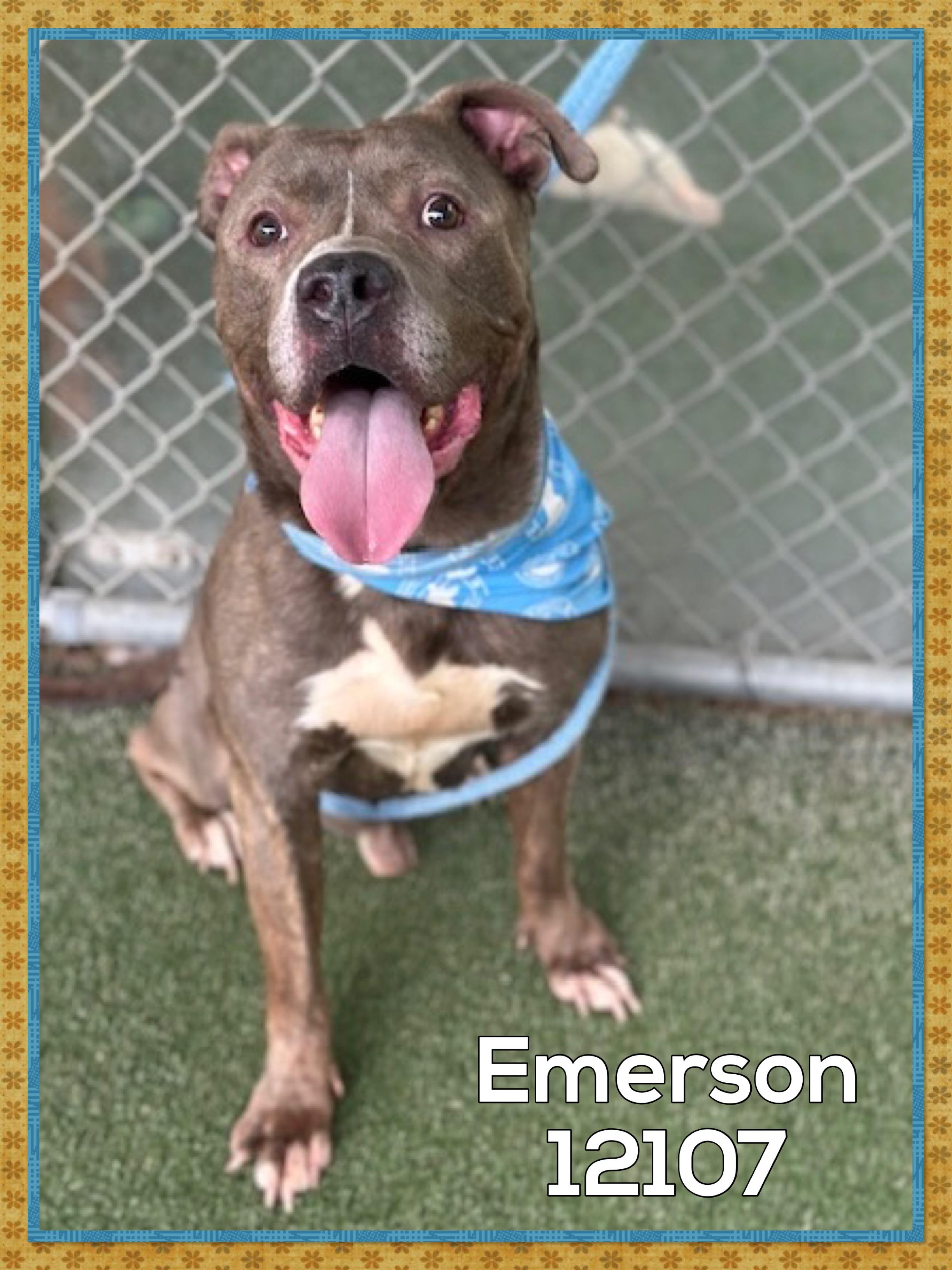 EMERSON